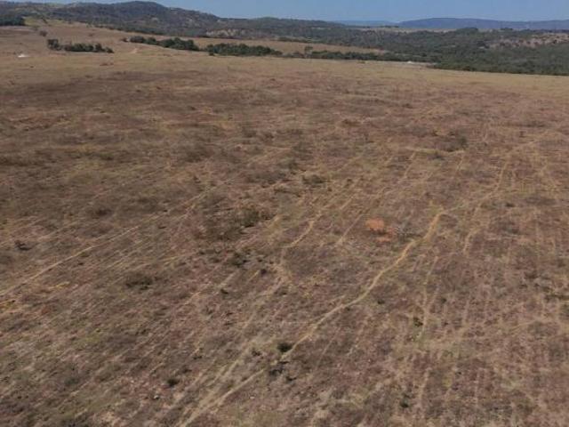 Sítio e chácara venda em Região Geográfica Imediata de Piracanjuba, Piracanjuba