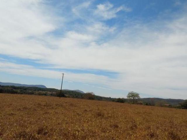 Sítio e chácara venda em Jaraguá, Região Geográfica Intermediária de Goiânia