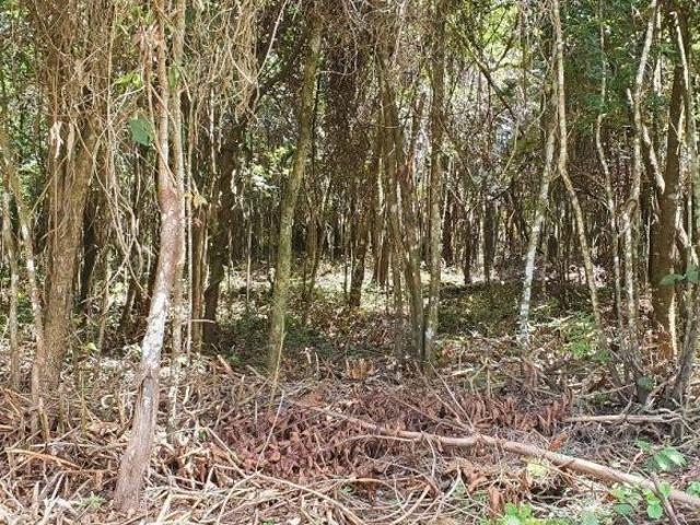 Terreno venda em Região Geográfica Imediata de Belo Horizonte, Região Metropolitana de Belo Horizonte