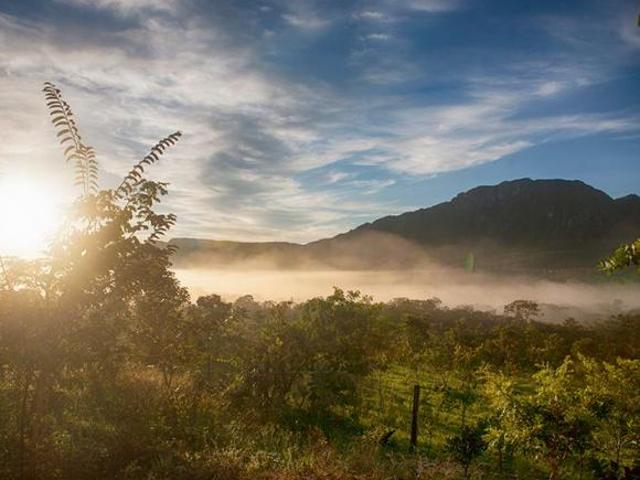 Sítio e chácara venda em Região Geográfica Imediata de Flores de Goiás, Cavalcante