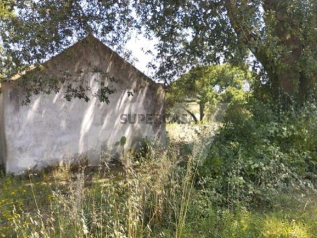 Terreno venda em Mafra, Lisboa