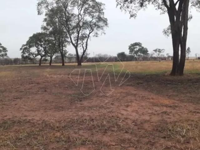 Fazenda venda em Região Imediata de Araraquara, Araraquara