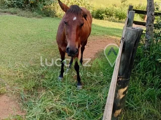 Fazenda venda em Região Imediata de Taubaté-Pindamonhangaba, Região Metropolitana do Vale do Paraíba e Litoral Norte