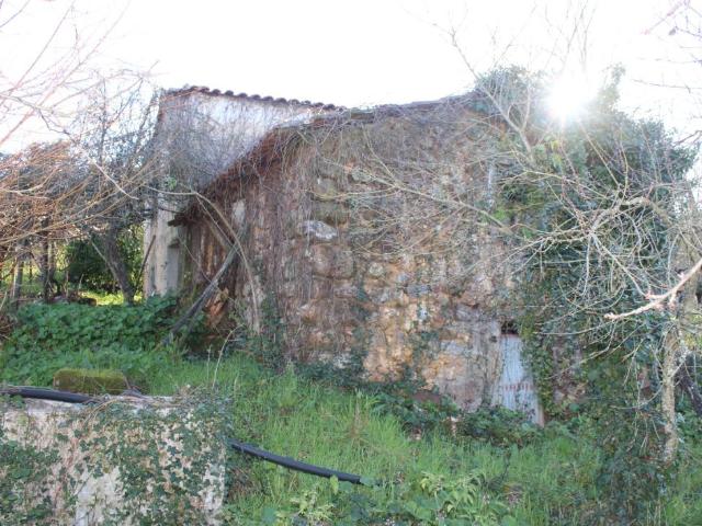 Terreno venda em Arganil