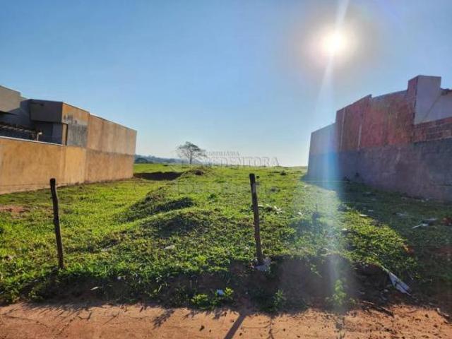 Terreno venda em Cedral