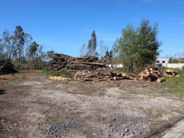 Terreno venda em Pedra de Cima, Marinha Grande