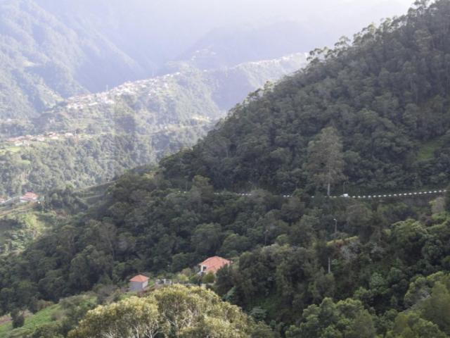 Terreno venda em Covas, Santana