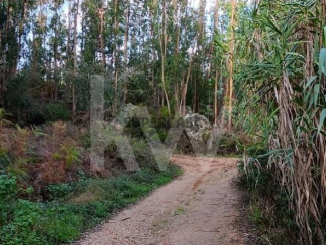 Terreno venda em Alcainça Grande, Mafra
