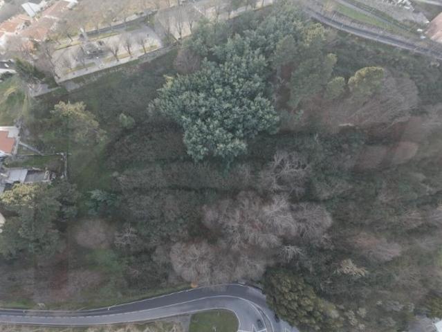 Terreno venda em Castelo Branco, Canhoso