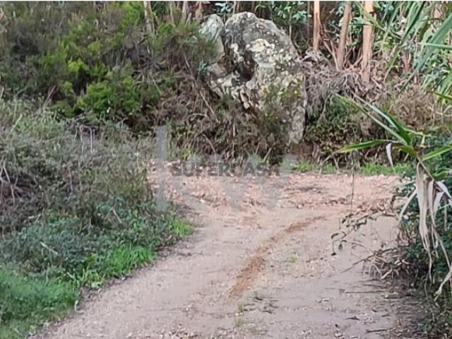 Terreno venda em Alcainça Grande, Mafra