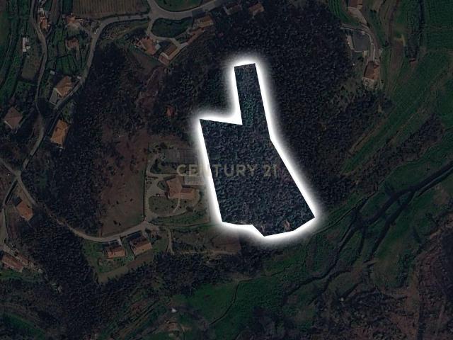 Terreno venda em Castelo De Paiva, Aveiro