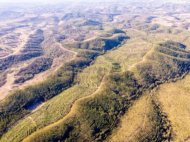 Terreno venda em Odemira, Beja