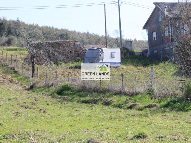 Terreno venda em Arganil