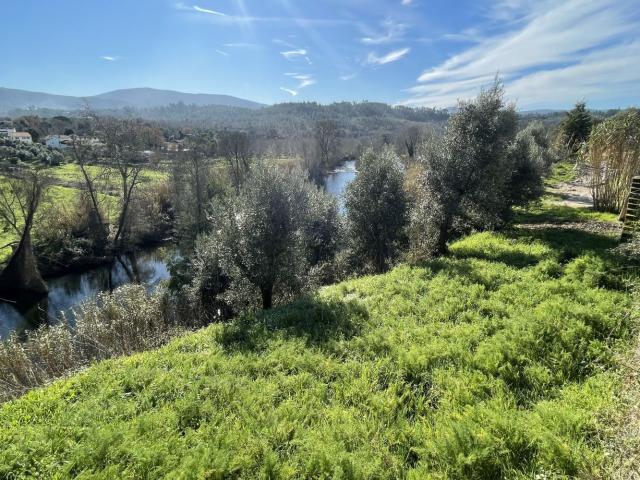 Terreno venda em Arganil, Sarzedo