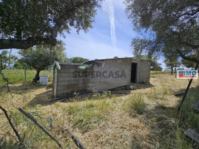 Casa venda em Castelo Branco