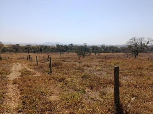Sítio e chácara venda em Região Geográfica Imediata de Águas Lindas de Goiás, Região Integrada de Desenvolvimento do Distrito Federal e Entorno