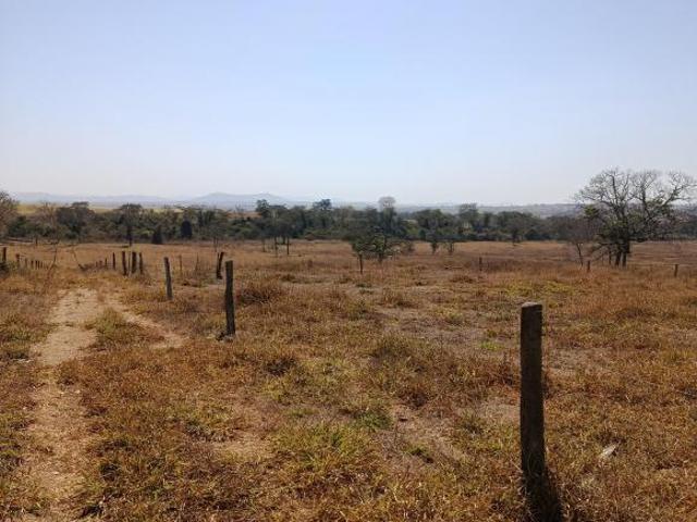 Sítio e chácara venda em Padre Bernardo, Região Geográfica Intermediária de Luziânia-Águas Lindas de Goiás