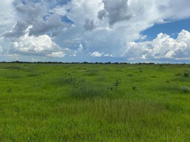 Sítio e chácara venda em Região Geográfica Imediata de Água Boa, Canarana