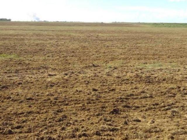 Sítio e chácara venda em Região Geográfica Imediata de Sorriso, Santa Rita do Trivelato