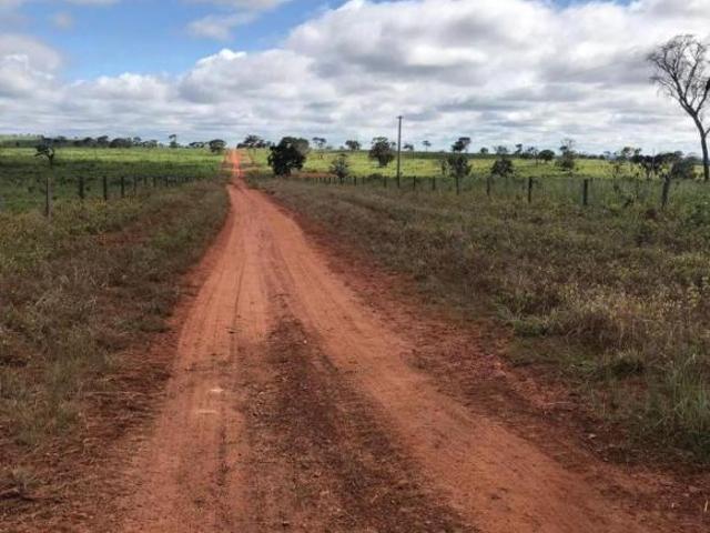 Sítio e chácara venda em Região Geográfica Imediata de Rondonópolis, Tesouro
