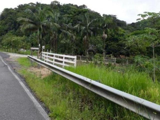 Sítio e chácara venda em Sete Barras