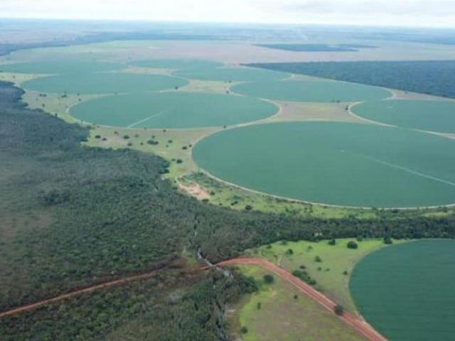 Sítio e chácara venda em Região Geográfica Imediata de Feira de Santana, Região Metropolitana de Feira de Santana