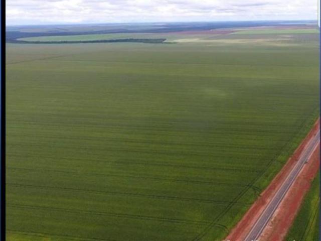 Sítio e chácara venda em Região Geográfica Imediata de Diamantino, Nova Maringa