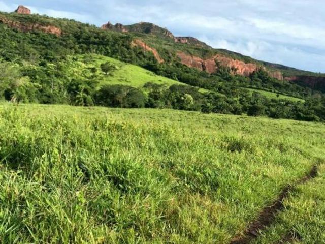 Sítio e chácara venda em Região Geográfica Imediata de Rondonópolis, Pedra Preta