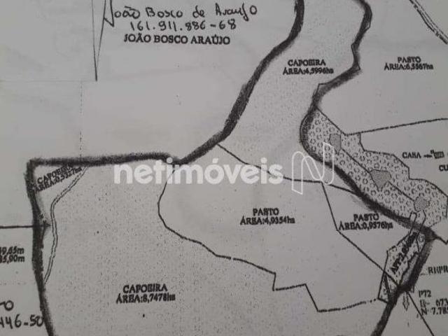 Sítio e chácara venda em Região Geográfica Imediata de Santa Bárbara - Ouro Preto, Catas Altas