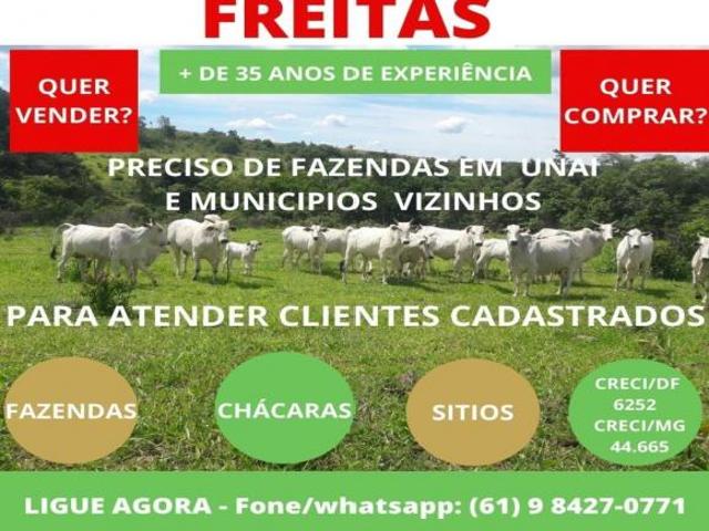 Sítio e chácara venda em Região Geográfica Imediata de Januária, Januária