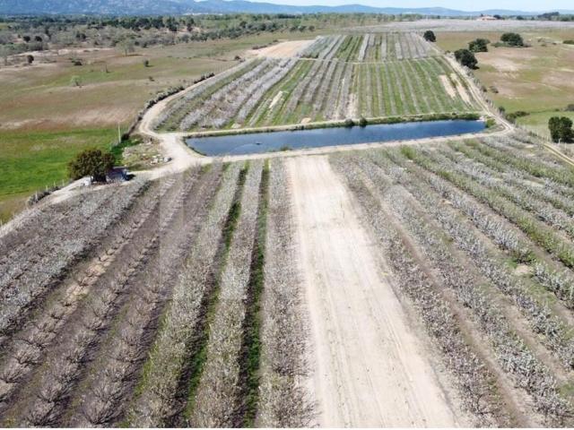 Terreno venda em Castelo Branco