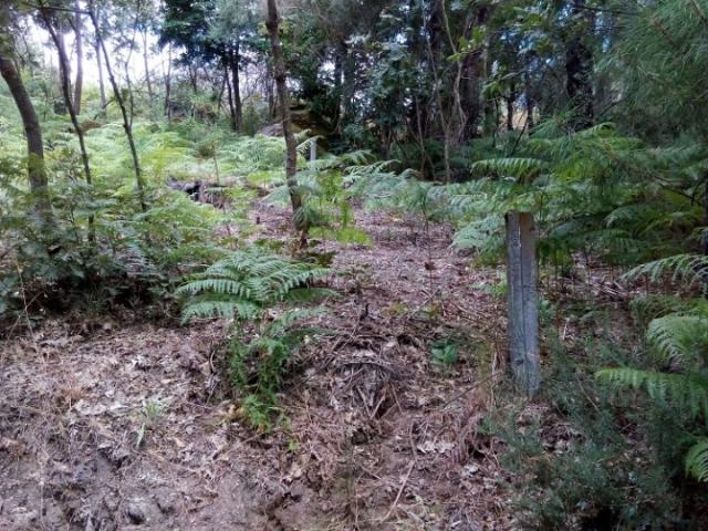 Terreno venda em Baião, Porto