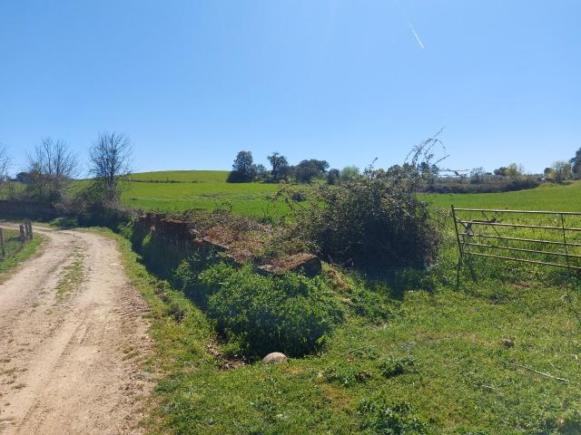 Terreno venda em Mogadouro, Bragança