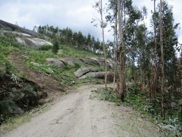 Terreno venda em Mogadouro, Bragança