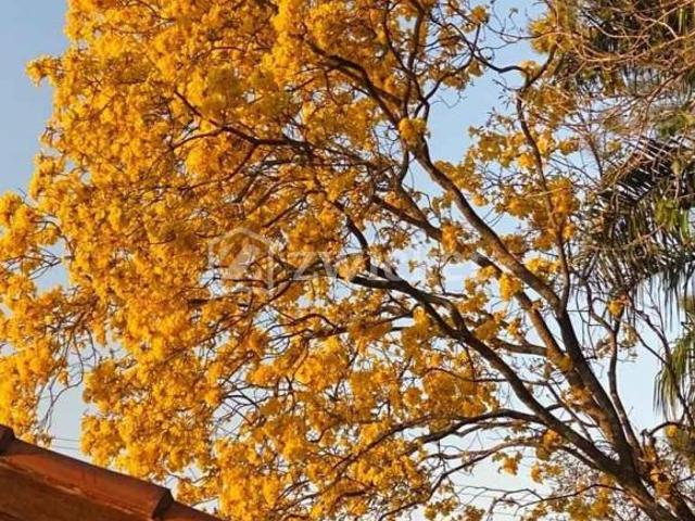 Sítio e chácara venda em Pederneiras, Jardim Sumaré