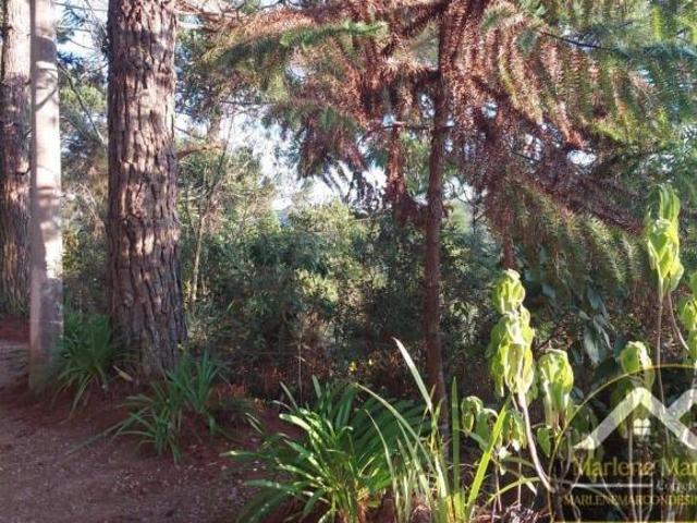Casa venda em Região Imediata de Taubaté-Pindamonhangaba, Região Metropolitana do Vale do Paraíba e Litoral Norte