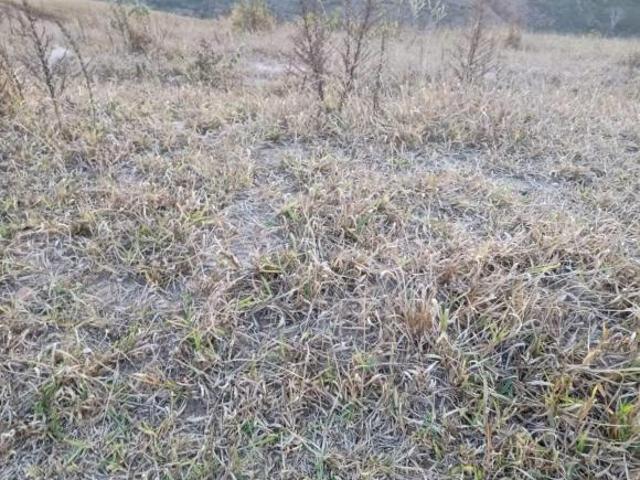 Terreno venda em Região Geográfica Imediata de Itabira, Itabira