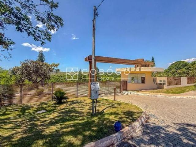 Terreno venda em Park Way Quadra 08, Park Way