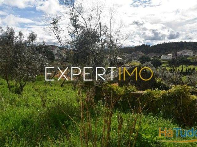 Casa venda em Figueiró Dos Vinhos, Leiria