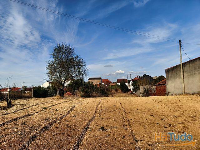 Casa venda em Torres Novas, Santarém