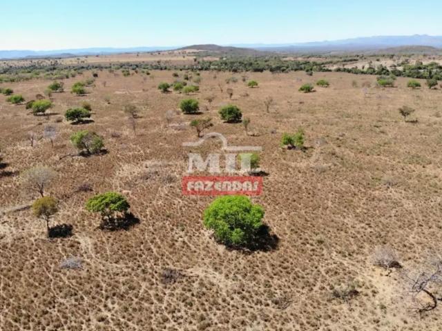 Fazenda venda em Região Geográfica Imediata de Uruaçu - Niquelândia, Colinas do Sul