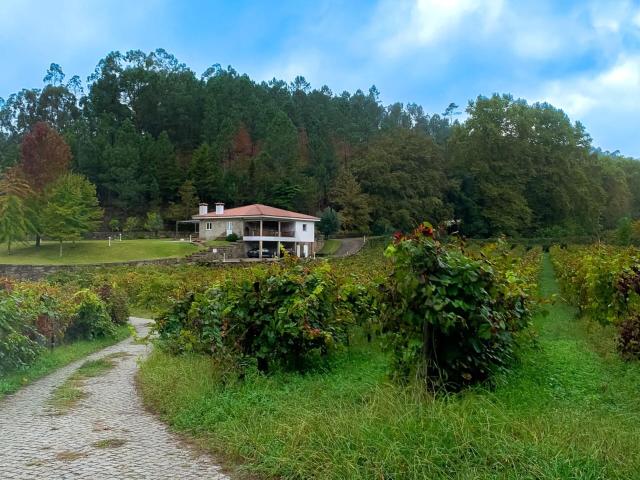 Quinta venda em Bouro (Santa Maria), Amares