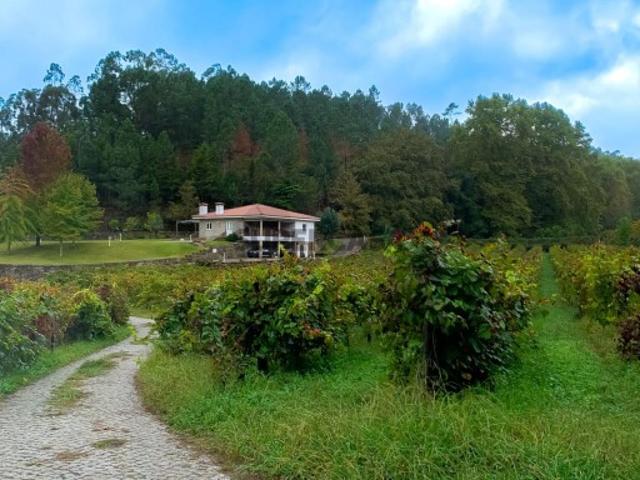 Casa venda em Bouro (Santa Maria), Amares