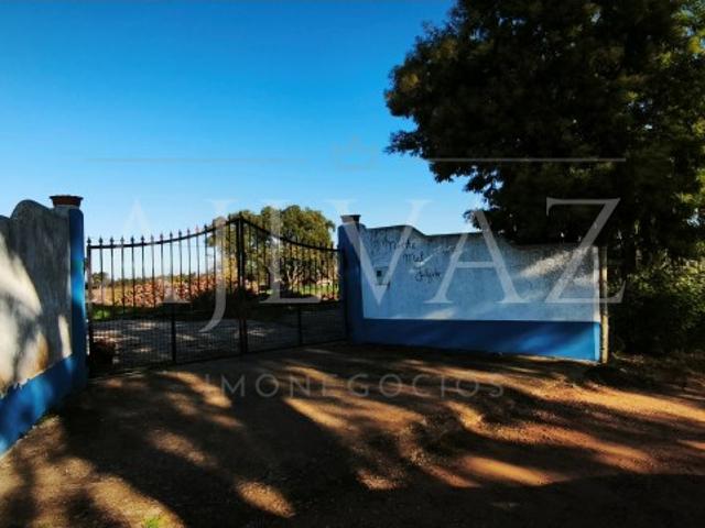 Terreno venda em Vale de Santiago, Odemira