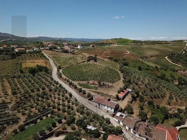 Quinta venda em Nagoselo Do Douro, Viseu