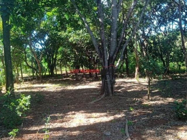 Terreno venda em Região Geográfica Imediata de Belo Horizonte, Região Metropolitana de Belo Horizonte