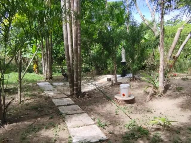 Fazenda venda em Região Geográfica Imediata de Cachoeiro de Itapemirim, Atilio Vivacqua
