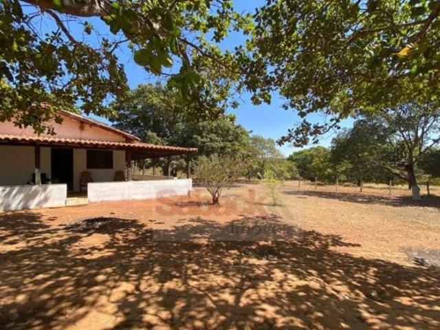 Sítio e chácara venda em Região Geográfica Imediata de Anápolis, Região Integrada de Desenvolvimento do Distrito Federal e Entorno