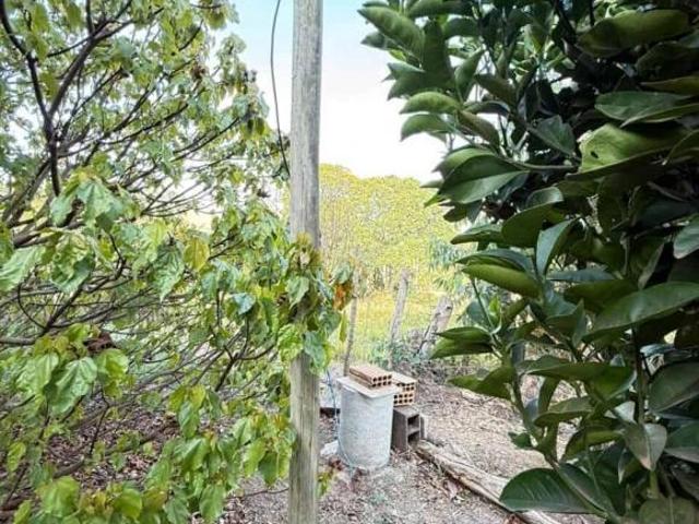 Sítio e chácara venda em Região Geográfica Imediata de Oliveira, Região Metropolitana de Belo Horizonte