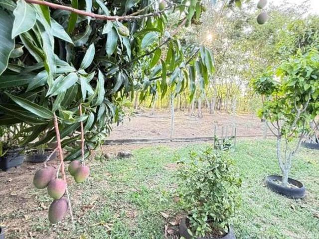 Sítio e chácara venda em Região Geográfica Imediata de Oliveira, Região Metropolitana de Belo Horizonte